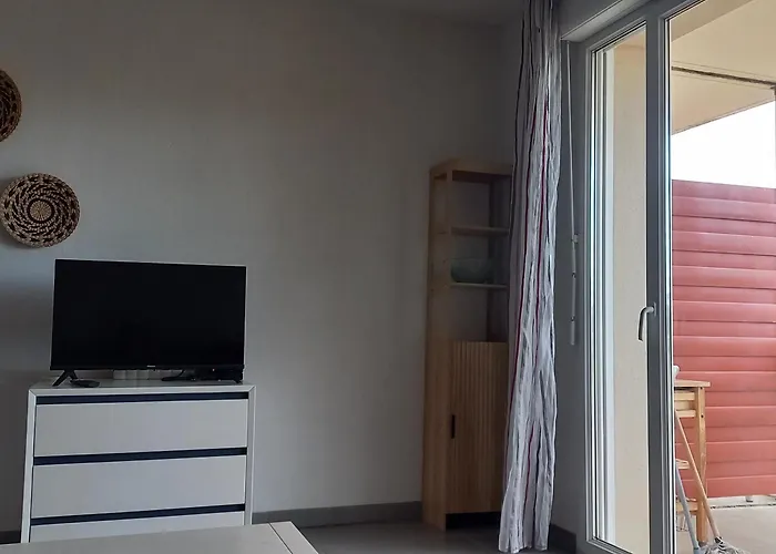 2p A Argeles-sur-mer: Clim, Terrasse, Piscine, Parking, Proche Plages Et Commerces - Fr-1-776-14 * Argelès-sur-Mer