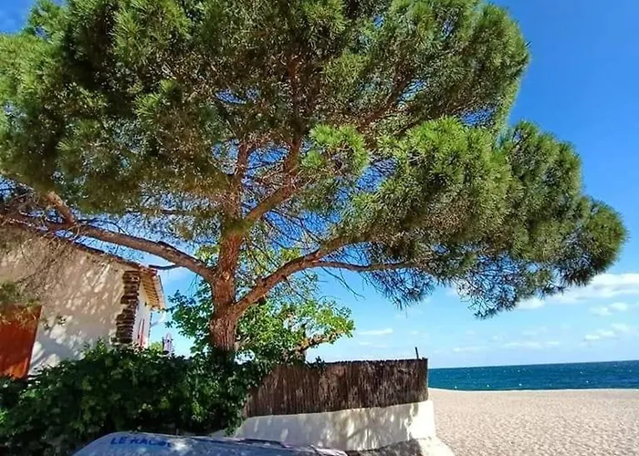 2p A Argeles-sur-mer: Clim, Terrasse, Piscine, Parking, Proche Plages Et Commerces - Fr-1-776-14 * Argelès-sur-Mer