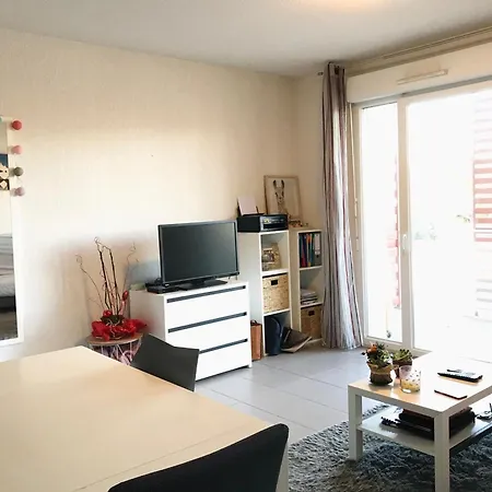 2p A Argeles-sur-mer: Clim, Terrasse, Piscine, Parking, Proche Plages Et Commerces - Fr-1-776-14 *