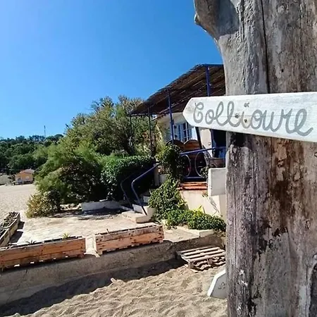 2p A Argeles-sur-mer: Clim, Terrasse, Piscine, Parking, Proche Plages Et Commerces - Fr-1-776-14
