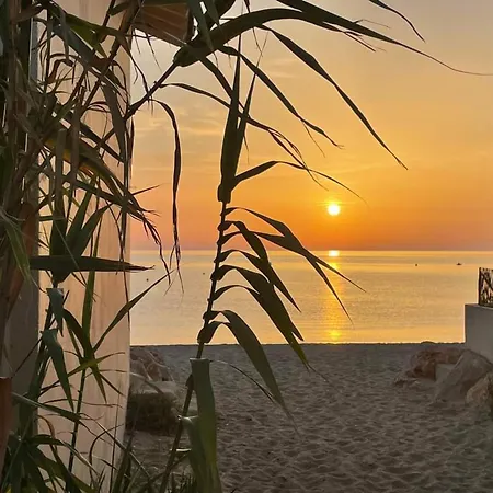 Апартаменты 2p A Argeles-sur-mer: Clim, Terrasse, Piscine, Parking, Proche Plages Et Commerces - Fr-1-776-14 *