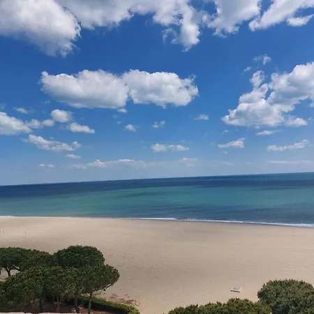 2p A Argeles-sur-mer: Clim, Terrasse, Piscine, Parking, Proche Plages Et Commerces - Fr-1-776-14 Аржель-сюр-Мер