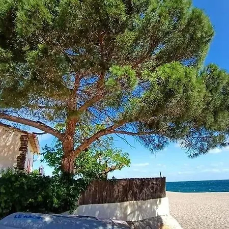 2p A Argeles-sur-mer: Clim, Terrasse, Piscine, Parking, Proche Plages Et Commerces - Fr-1-776-14 * Аржель-сюр-Мер