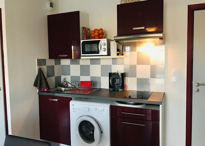 Apartmán 2p A Argeles-sur-mer: Clim, Terrasse, Piscine, Parking, Proche Plages Et Commerces - Fr-1-776-14 *