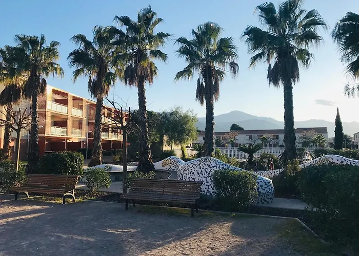 Apartmán 2p A Argeles-sur-mer: Clim, Terrasse, Piscine, Parking, Proche Plages Et Commerces - Fr-1-776-14 *