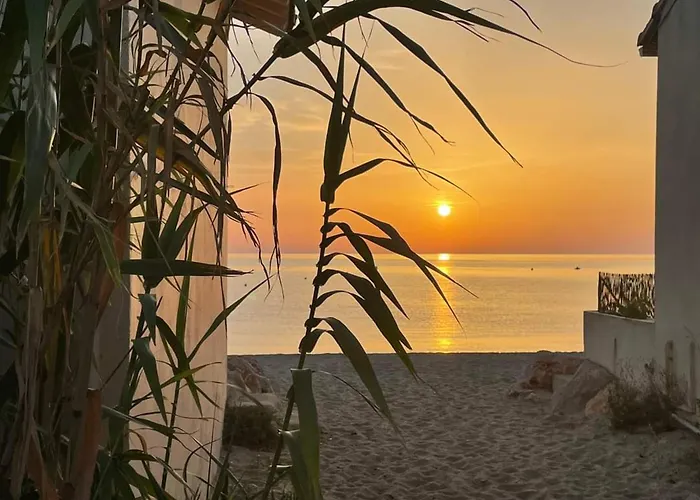 Apartmán 2p A Argeles-sur-mer: Clim, Terrasse, Piscine, Parking, Proche Plages Et Commerces - Fr-1-776-14 *