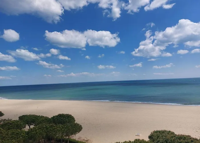 2p A Argeles-sur-mer: Clim, Terrasse, Piscine, Parking, Proche Plages Et Commerces - Fr-1-776-14 Argelès-sur-Mer